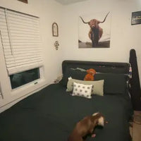 Review image 1