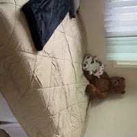 Review image 1